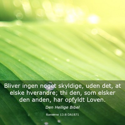 Picture 03 - Romerne 13:8 DA1871 - Bliver ingen noget skyldige, uden det, at elske - Bible Verse Picture