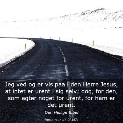 Picture 03 - Romerne 14:14 DA1871 - Jeg ved og er vis paa i den Herre Jesus, at intet - Bible Verse Picture