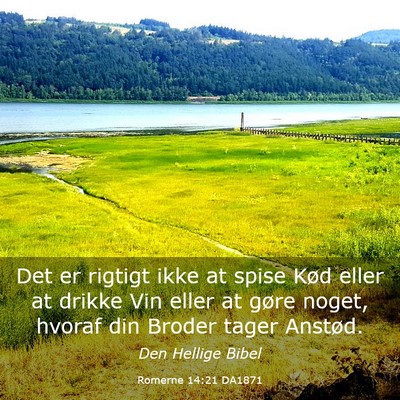 Picture 03 - Romerne 14:21 DA1871 - Det er rigtigt ikke at spise Kød eller at drikke - Bible Verse Picture