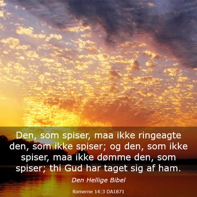Picture 03 - Romerne 14:3 DA1871 - Den, som spiser, maa ikke ringeagte den, som ikke - Bible Verse Picture