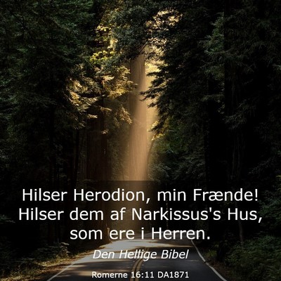 Picture 03 - Romerne 16:11 DA1871 - Hilser Herodion, min Frænde! Hilser dem af - Bible Verse Picture