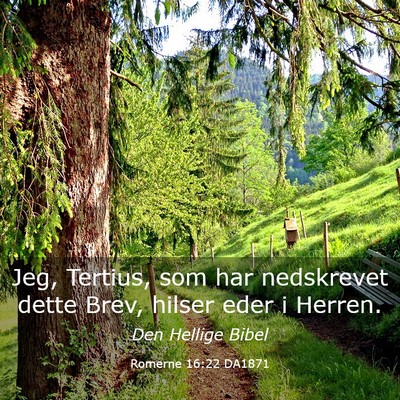 Picture 03 - Romerne 16:22 DA1871 - Jeg, Tertius, som har nedskrevet dette Brev, - Bible Verse Picture