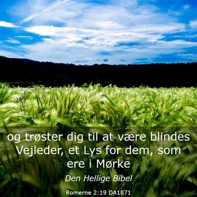 Picture 03 - Romerne 2:19 DA1871 - og trøster dig til at være blindes Vejleder, et - Bible Verse Picture