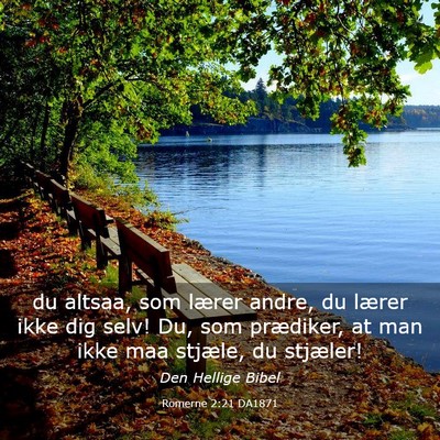 Picture 03 - Romerne 2:21 DA1871 - du altsaa, som lærer andre, du lærer ikke dig - Bible Verse Picture