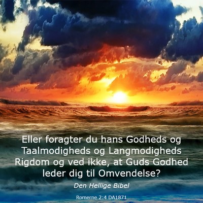 Picture 03 - Romerne 2:4 DA1871 - Eller foragter du hans Godheds og Taalmodigheds - Bible Verse Picture