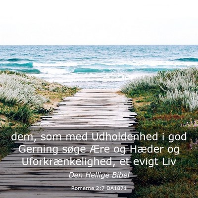 Picture 03 - Romerne 2:7 DA1871 - dem, som med Udholdenhed i god Gerning søge Ære - Bible Verse Picture