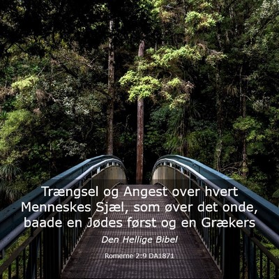 Picture 03 - Romerne 2:9 DA1871 - Trængsel og Angest over hvert Menneskes Sjæl, - Bible Verse Picture