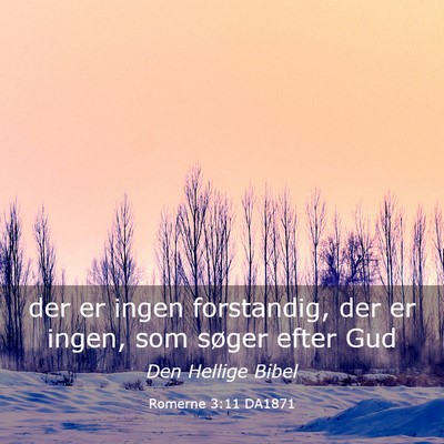 Picture 03 - Romerne 3:11 DA1871 - der er ingen forstandig, der er ingen, som søger - Bible Verse Picture
