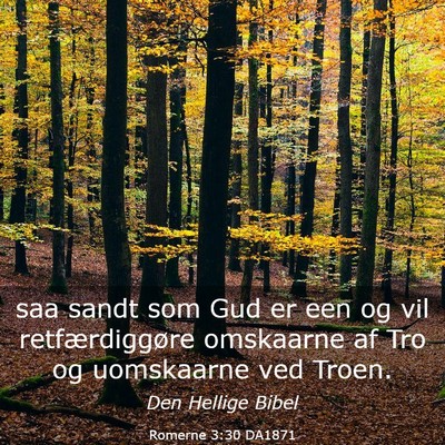 Picture 03 - Romerne 3:30 DA1871 - saa sandt som Gud er een og vil retfærdiggøre - Bible Verse Picture