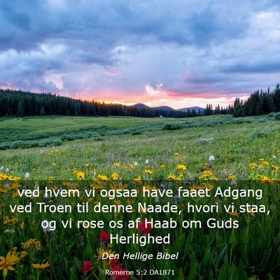 Picture 03 - Romerne 5:2 DA1871 - ved hvem vi ogsaa have faaet Adgang ved Troen til - Bible Verse Picture