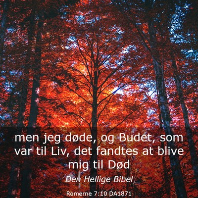 Picture 03 - Romerne 7:10 DA1871 - men jeg døde, og Budet, som var til Liv, det - Bible Verse Picture