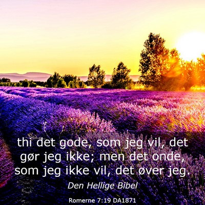 Picture 03 - Romerne 7:19 DA1871 - thi det gode, som jeg vil, det gør jeg ikke; men - Bible Verse Picture