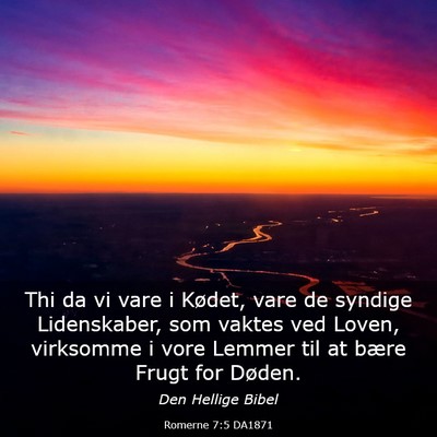 Picture 03 - Romerne 7:5 DA1871 - Thi da vi vare i Kødet, vare de syndige - Bible Verse Picture