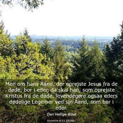 Picture 03 - Romerne 8:11 DA1871 - Men om hans Aand, der oprejste Jesus fra de - Bible Verse Picture