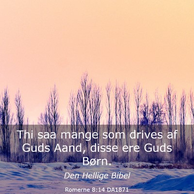 Picture 03 - Romerne 8:14 DA1871 - Thi saa mange som drives af Guds Aand, disse ere - Bible Verse Picture