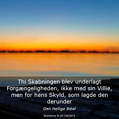 Picture 03 - Romerne 8:20 DA1871 - Thi Skabningen blev underlagt Forgængeligheden, - Bible Verse Picture