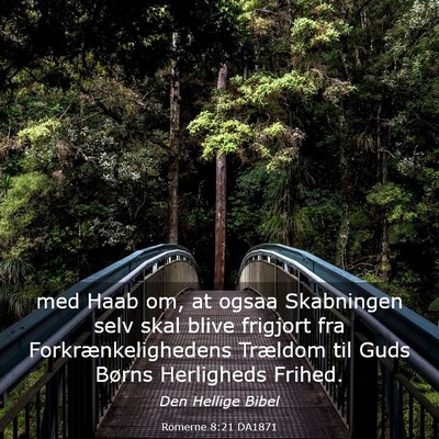 Picture 03 - Romerne 8:21 DA1871 - med Haab om, at ogsaa Skabningen selv skal blive - Bible Verse Picture
