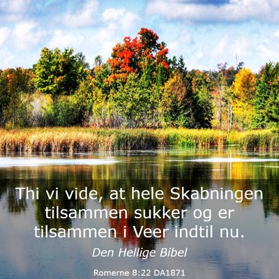 Picture 03 - Romerne 8:22 DA1871 - Thi vi vide, at hele Skabningen tilsammen sukker - Bible Verse Picture