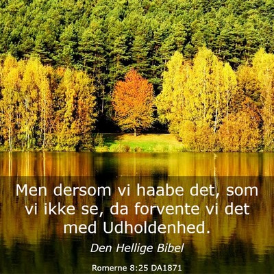 Picture 03 - Romerne 8:25 DA1871 - Men dersom vi haabe det, som vi ikke se, da - Bible Verse Picture