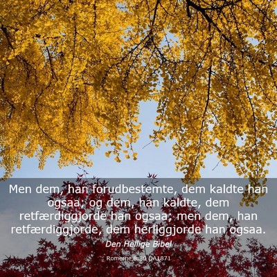 Picture 03 - Romerne 8:30 DA1871 - Men dem, han forudbestemte, dem kaldte han ogsaa; - Bible Verse Picture