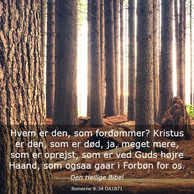 Picture 03 - Romerne 8:34 DA1871 - Hvem er den, som fordømmer? Kristus er den, som - Bible Verse Picture