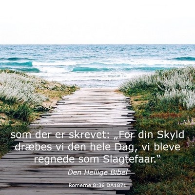 Picture 03 - Romerne 8:36 DA1871 - som der er skrevet: „For din Skyld dræbes vi - Bible Verse Picture