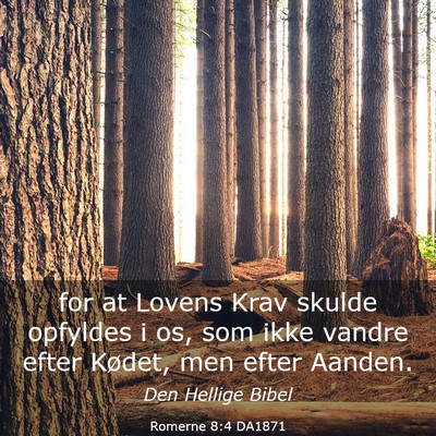 Picture 03 - Romerne 8:4 DA1871 - for at Lovens Krav skulde opfyldes i os, som ikke - Bible Verse Picture