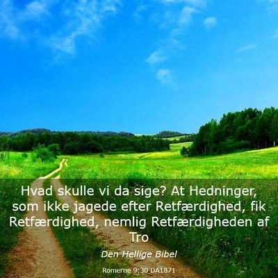 Picture 03 - Romerne 9:30 DA1871 - Hvad skulle vi da sige? At Hedninger, som ikke - Bible Verse Picture