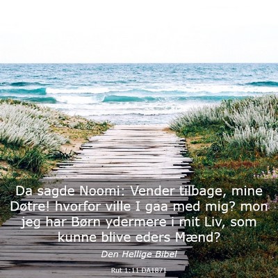 Picture 03 - Rut 1:11 DA1871 - Da sagde Noomi: Vender tilbage, mine Døtre! - Bible Verse Picture