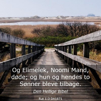 Picture 03 - Rut 1:3 DA1871 - Og Elimelek, Noomi Mand, døde; og hun og hendes - Bible Verse Picture