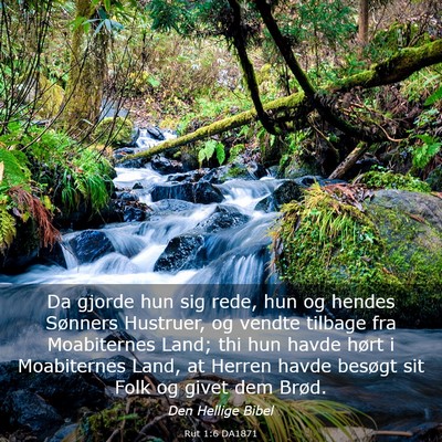 Picture 03 - Rut 1:6 DA1871 - Da gjorde hun sig rede, hun og hendes Sønners - Bible Verse Picture