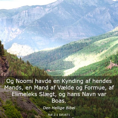 Picture 03 - Rut 2:1 DA1871 - Og Noomi havde en Kynding af hendes Mands, en - Bible Verse Picture
