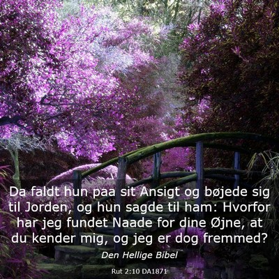 Picture 03 - Rut 2:10 DA1871 - Da faldt hun paa sit Ansigt og bøjede sig til - Bible Verse Picture