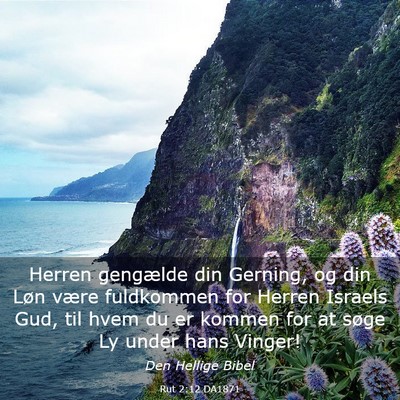Picture 03 - Rut 2:12 DA1871 - Herren gengælde din Gerning, og din Løn være - Bible Verse Picture