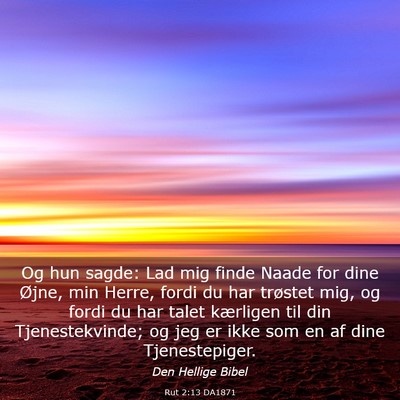 Picture 03 - Rut 2:13 DA1871 - Og hun sagde: Lad mig finde Naade for dine Øjne, - Bible Verse Picture