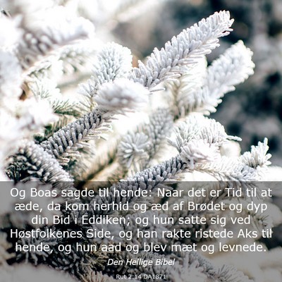 Picture 03 - Rut 2:14 DA1871 - Og Boas sagde til hende: Naar det er Tid til at - Bible Verse Picture
