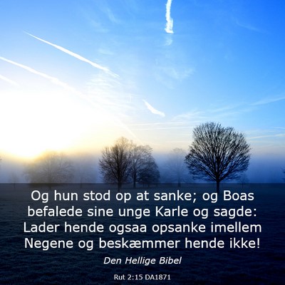 Picture 03 - Rut 2:15 DA1871 - Og hun stod op at sanke; og Boas befalede sine - Bible Verse Picture