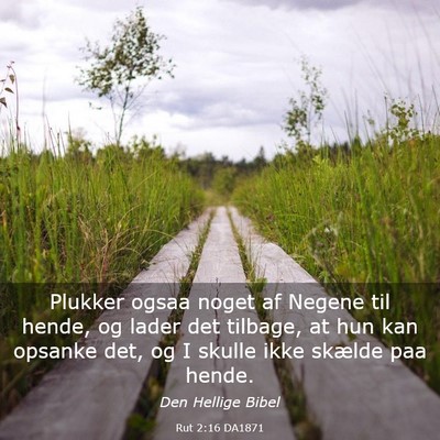 Picture 03 - Rut 2:16 DA1871 - Plukker ogsaa noget af Negene til hende, og lader - Bible Verse Picture