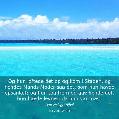 Picture 03 - Rut 2:18 DA1871 - Og hun løftede det op og kom i Staden, og hendes - Bible Verse Picture