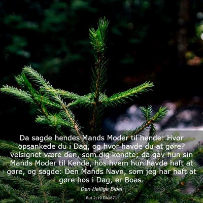 Picture 03 - Rut 2:19 DA1871 - Da sagde hendes Mands Moder til hende: Hvor - Bible Verse Picture