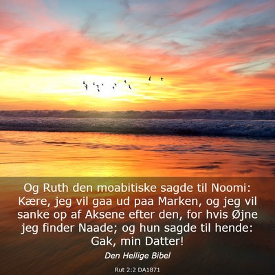 Picture 03 - Rut 2:2 DA1871 - Og Ruth den moabitiske sagde til Noomi: Kære, - Bible Verse Picture
