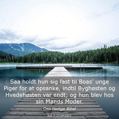 Picture 03 - Rut 2:23 DA1871 - Saa holdt hun sig fast til Boas' unge Piger for - Bible Verse Picture