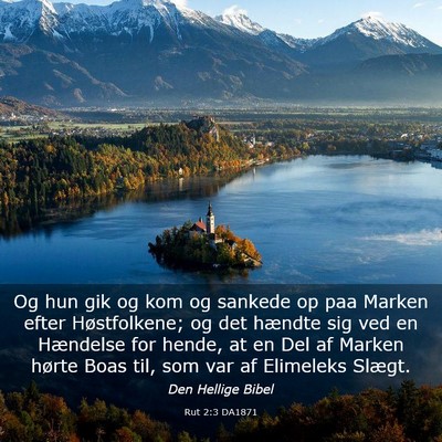 Picture 03 - Rut 2:3 DA1871 - Og hun gik og kom og sankede op paa Marken efter - Bible Verse Picture