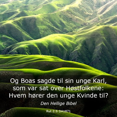 Picture 03 - Rut 2:5 DA1871 - Og Boas sagde til sin unge Karl, som var sat over - Bible Verse Picture