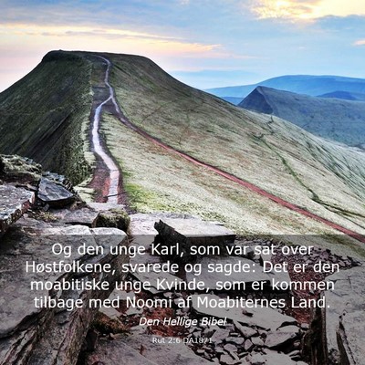 Picture 03 - Rut 2:6 DA1871 - Og den unge Karl, som var sat over Høstfolkene, - Bible Verse Picture
