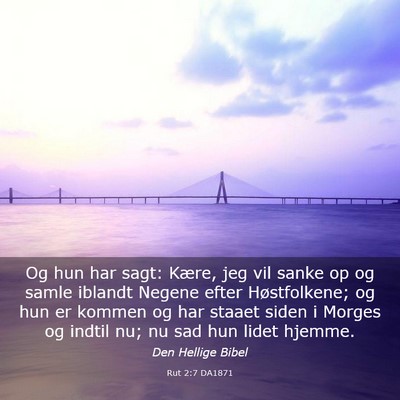 Picture 03 - Rut 2:7 DA1871 - Og hun har sagt: Kære, jeg vil sanke op og samle - Bible Verse Picture