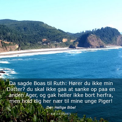 Picture 03 - Rut 2:8 DA1871 - Da sagde Boas til Ruth: Hører du ikke min - Bible Verse Picture