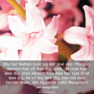 Picture 03 - Rut 3:13 DA1871 - Bliv her Natten over, og det skal ske i Morgen, - Bible Verse Picture