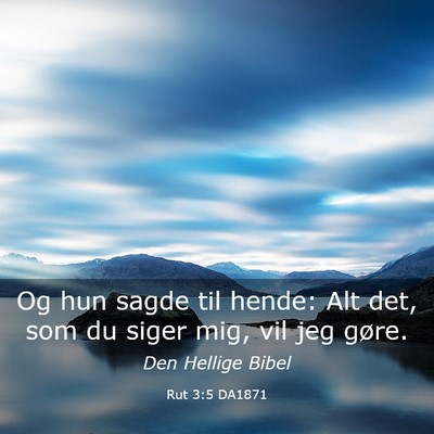 Picture 03 - Rut 3:5 DA1871 - Og hun sagde til hende: Alt det, som du siger - Bible Verse Picture