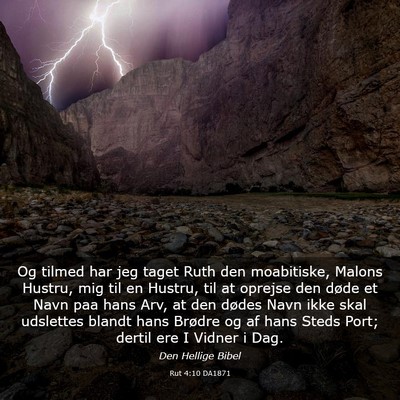 Picture 03 - Rut 4:10 DA1871 - Og tilmed har jeg taget Ruth den moabitiske, - Bible Verse Picture